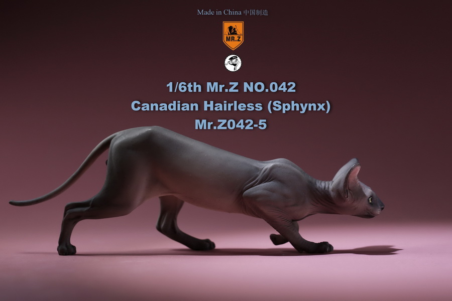 [สั่งจอง]แมวสฟิงก์ แมวน้อยขนกลับด้าน 1/6 Mr. Z Animal Model No.42: 1/6th Canadian Hairless (Sphynx)