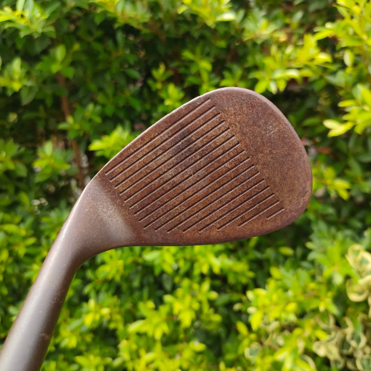 WEDGE CLEVELAND REG 588 องศา 56 ก้าน DYNAMIC GOLD FLEX WEDGE ก้านสำหรับ WEDGE โดยตรง WEDGE รุ่น 588 คือรุ่นที่ดีที่สุดของ Cleveland!!! ไม้กอล์ฟมือสอง ของแท้ BY NakaraLuxurious