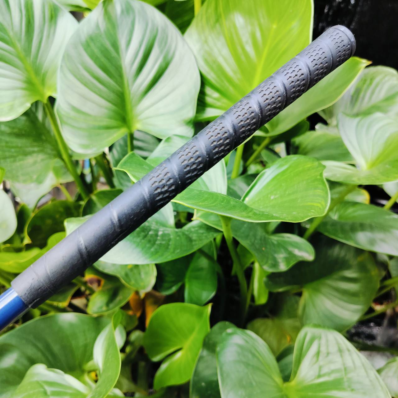 *** ไม้กอล์ฟเด็ก *** เหล็ก 5 เด็ก PROKENNEX JR PRO ความยาว 31 นิ้ว ไม้ญี่ปุ่น ตีง่ายๆ น้องเริ่มต้นใหม่ ใช่ไม้นี้ตีง่ายมากค่ะ ไม้กอล์ฟพรีเมี่ยมมือสอง ของแท้ By NakaraLuxurious