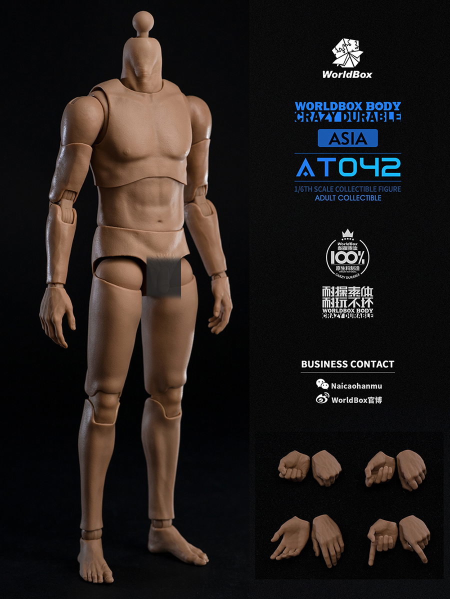 [สั่งจอง]Worldbox AT042 1/6 : Durable Body
