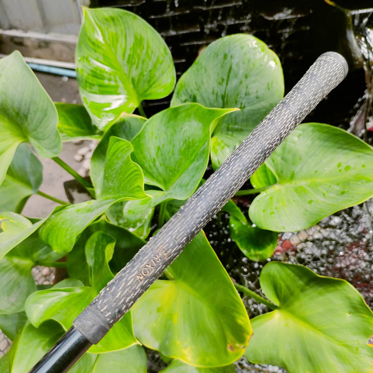 UT7 XXIO องศา 23 เป็นรุ่น TOUR SPEACIAL หน้าเด้ง MARAGING ตีไกล และตีดีมาก เด้งสวย ตีโดนง่าย ก้าน XXIO MP100 FLEX R ไม้กอล์ฟพรีเมี่ยมมือสอง ของแท้ By NakaraLuxurious