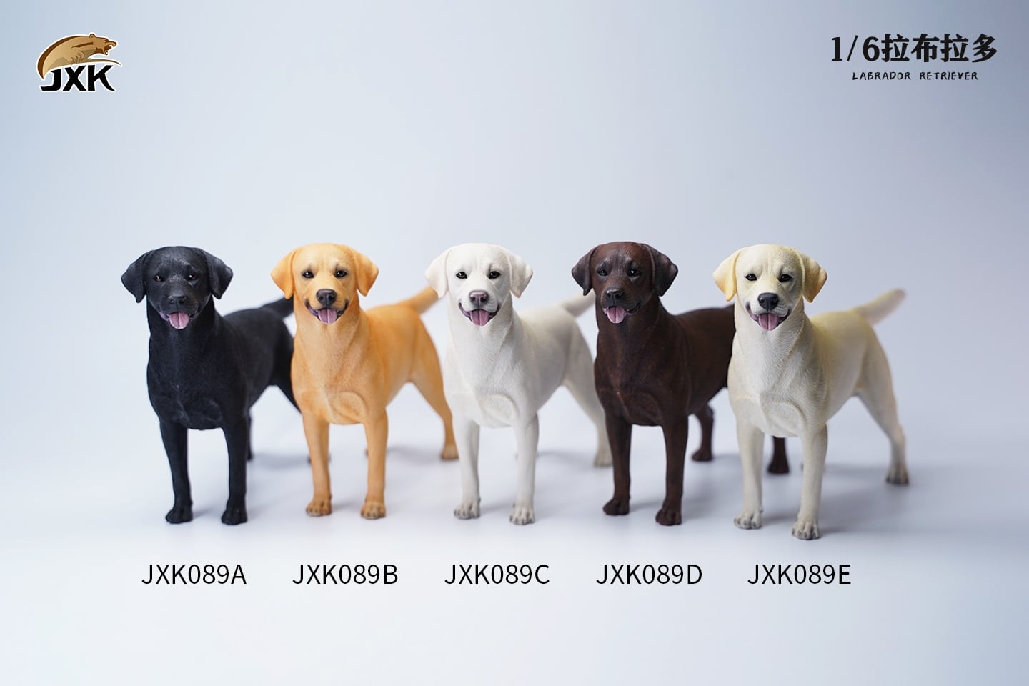 [สั่งจอง]JXK JXK089 1/6 : Labrador