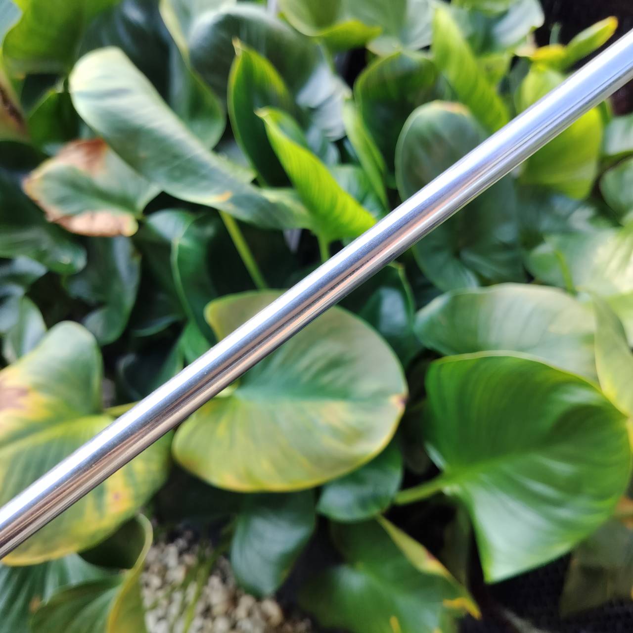 ไม้กอล์ฟครบชุด PRO KENNEX GRAND CANYON สภาพสวยงาม ให้ไม้มาได้ครบเครื่องมากๆ ดีทุกไม้ ถุงกอล์ฟ PROKENNEX เดิมตรงรุ่น และมี COVER ให้ครบทั้งชุดค่ะ ไม้กอล์ฟพรีเมี่ยมมือสอง ของแท้ By NakaraLuxurious