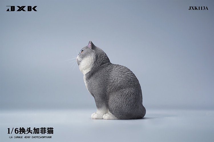 [สั่งจอง]JXK JXK113 1/6 : Change Head Exoticshorthair