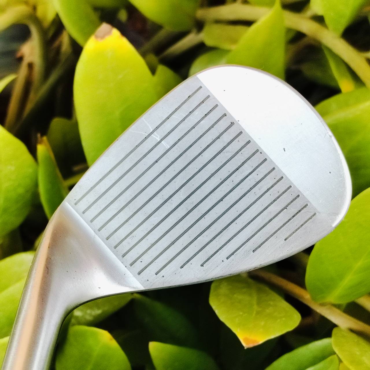 WEDGE SRIXON TC I-201 องศา 56 วัสดุ FORGED JAPAN สุดนุ่มนวล เข้าบอลแน่น สปินดีมากค่ะ ไม้กอล์ฟพรีเมี่ยมมือสอง ของแท้ By NakaraLuxurious