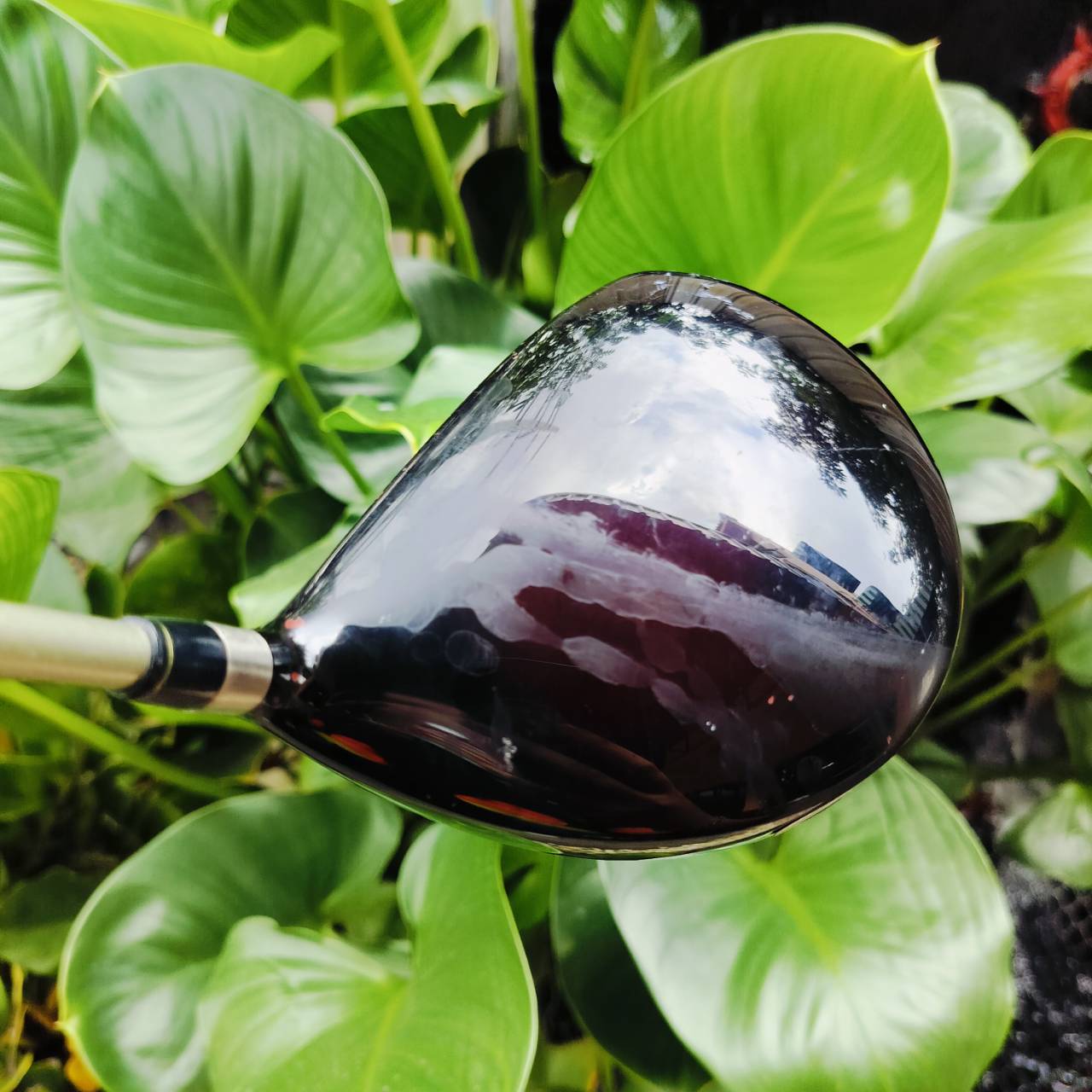 Driver TOBUNDA GT460 ก้าน FUJIKURA ROMBAX FLEX S แบรนด์ TOBUNDA เป็นแบรนด์ดังพรีเมี่ยม จากประเทศญี่ปุ่น ไม้กอล์ฟพรีเมี่ยมมือสอง ของแท้ By NakaraLuxurious