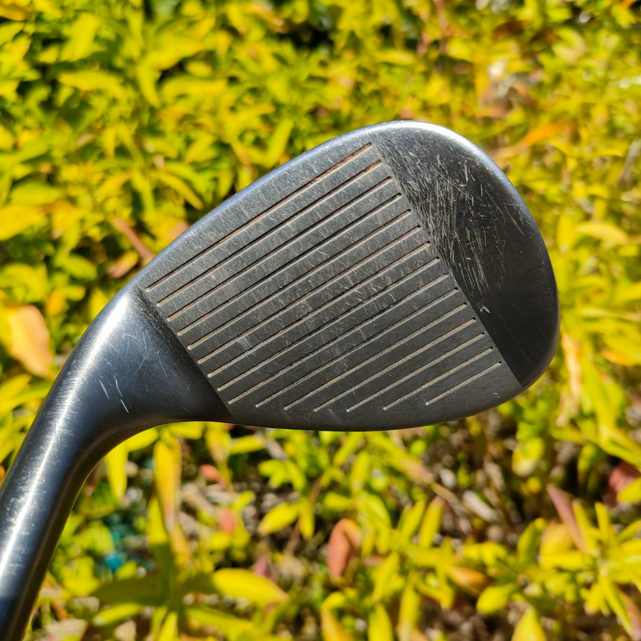 WEDGE CLEVELAND CG12 ZIP GROOVES ร่องสี่เหลี่ยม คมจัด สปินสุด ตกหยุดถอยแน่นอน องศา 60 ก้าน DYNAMIC GOLD FLEX WEDGE