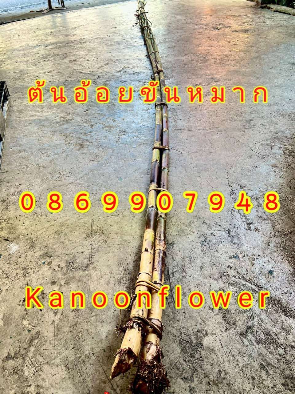 ต้นอ้อยต้นกล้วย (ขันหมาก)