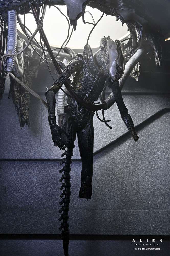 [สั่งจอง] NECA : Romulus Suspended Lab Xenomorph XX121