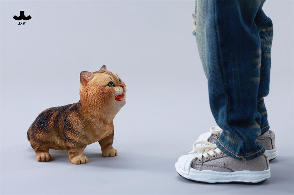 [สั่งจอง] JXK 1/6 : Kitten