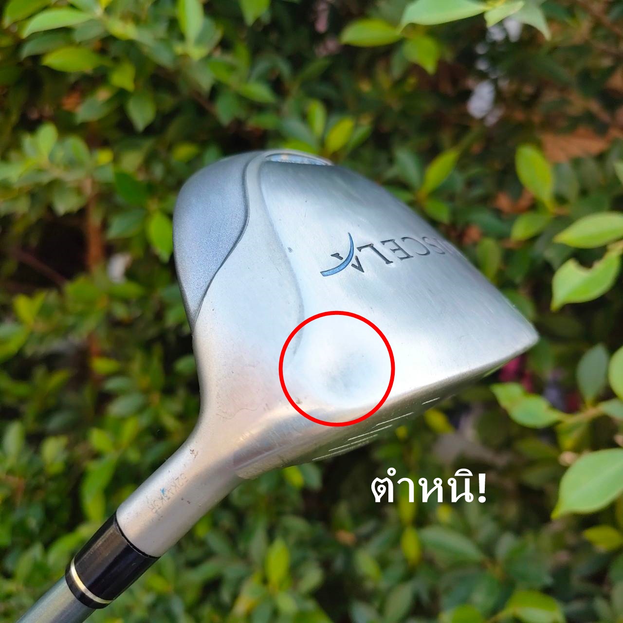 🏌️♀️ไม้กอล์ฟสำหรับผู้หญิง 🏌️♀️ 🔥 สุดพรีเมี่ยมจากญี่ปุ่น 🔥 . SET TAYLORMADE MISCELA