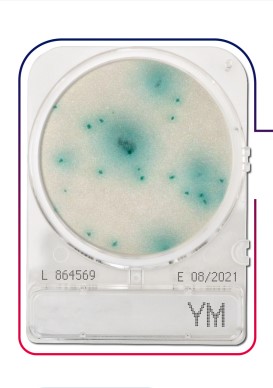 เพลทนับเชื้อสำเร็จรูป Compact Dry Yeast & Mold (YM) 40/pK