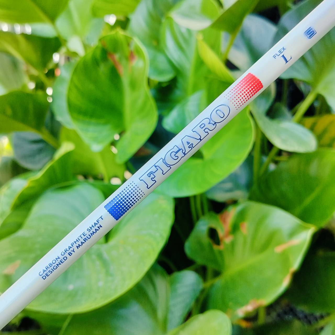 **ไม้กอล์ฟสำหรับผู้หญิง** SW MARUMAN FIGARO กริพ IOMIC สีชมพู เฉพาะกริพเป็นพัน ช่วยผู้เล่นอย่างมากโดยเฉพาะคุณผู้หญิงเอเชีย ไม้กอล์ฟพรีเมี่ยมมือสอง ของแท้ By NakaraLuxurious