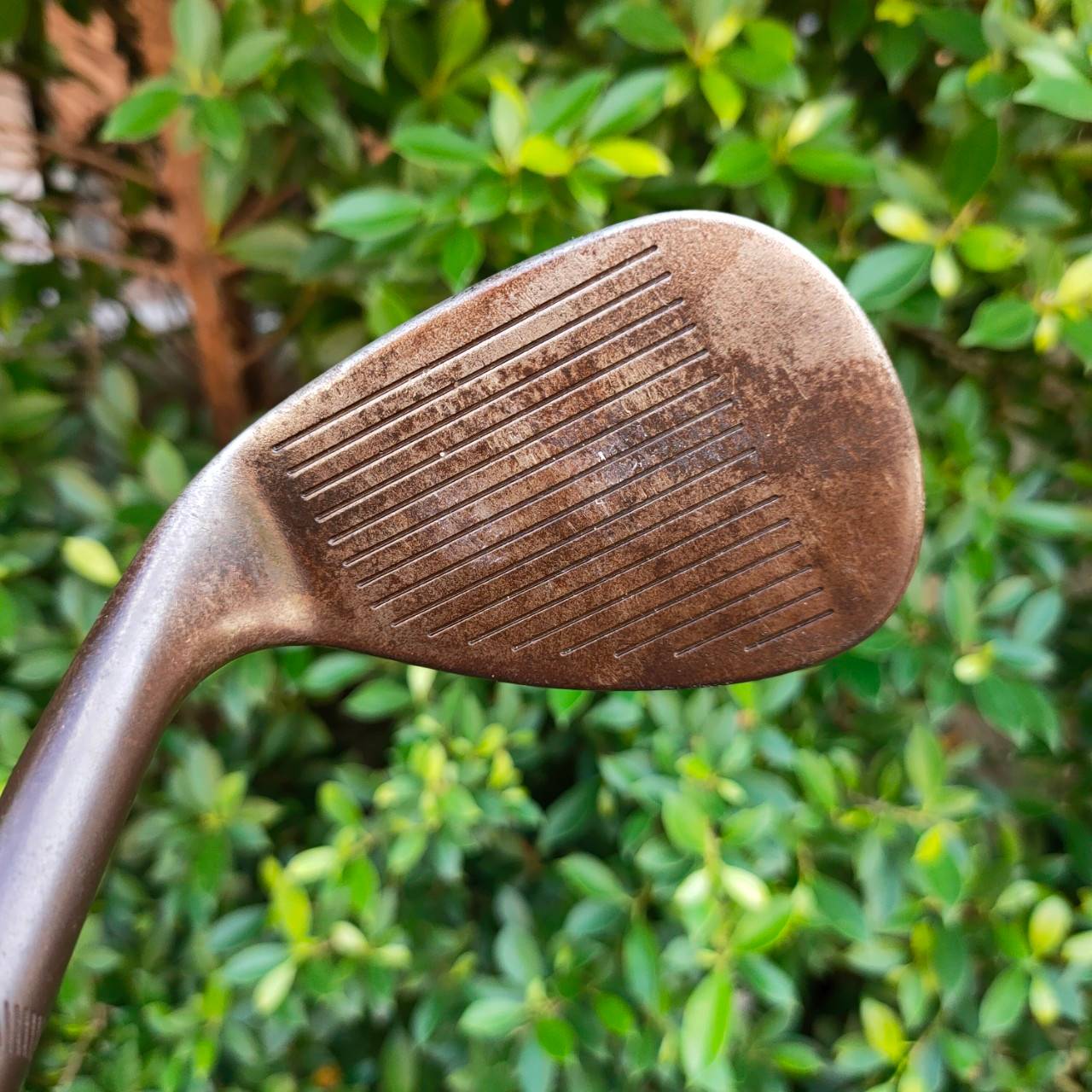 🏌️ WEDGE TITLEIST BV VOKEY DESIGN องศา 60 ก้าน BOUNCE 8 ก้าน DYNAMIC GOLD FLEX-WEDGE ไม้กอล์ฟมือสอง ของแท้ BY NakaraLuxurious