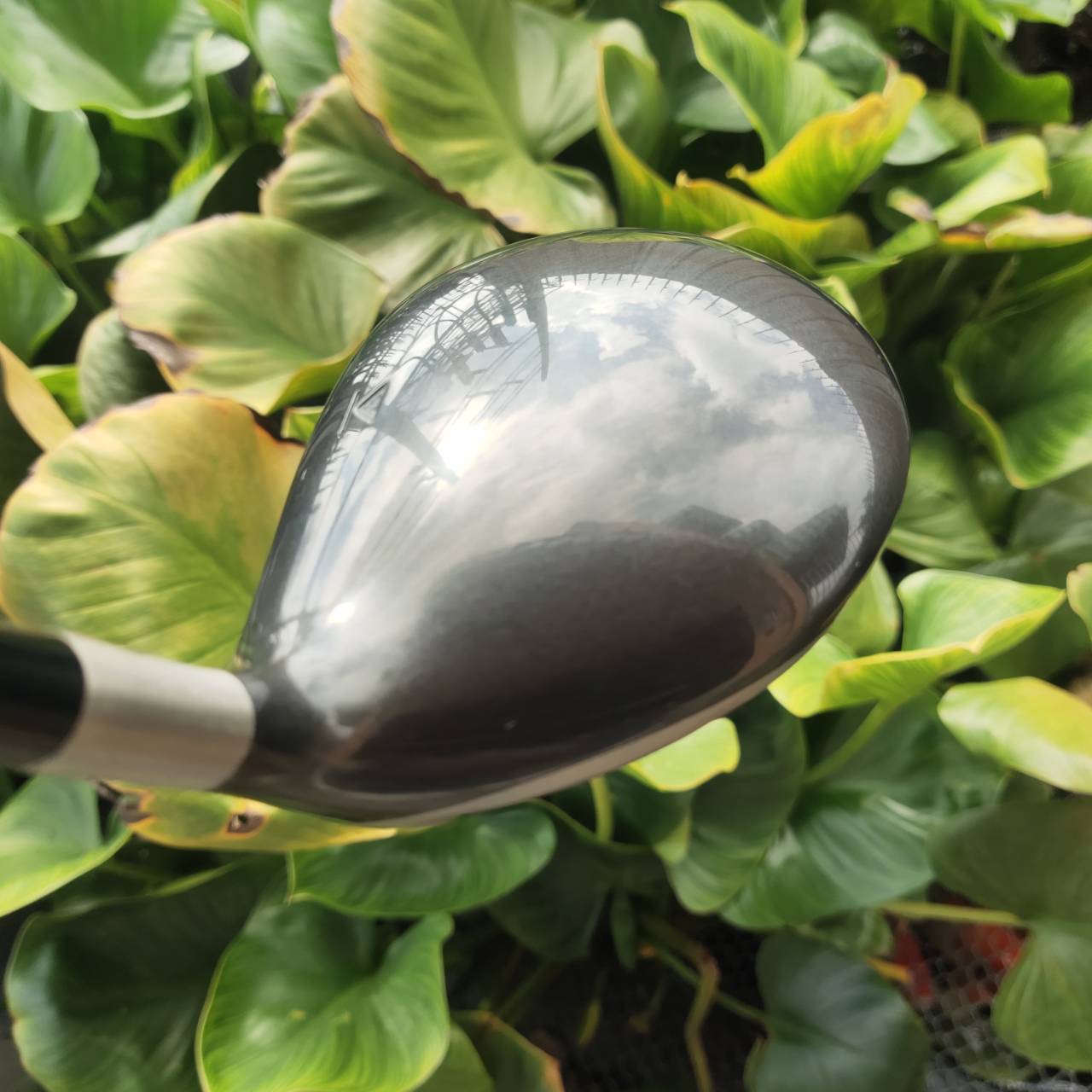 Driver Titleist 983K | 9.5° | FUJIKURA ZCOM TW54 R หัว Pear Shape คลาสสิก ทรงสวยจรดง่าย