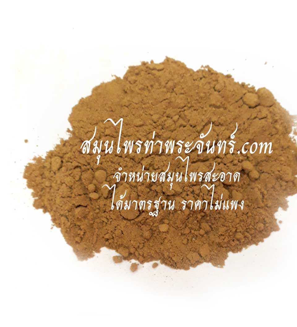 โกฐเชียงผง ( 500กรัม - 1กิโล ) / ( 500g - 1kg ) สมุนไพรท่าพระจันทร์