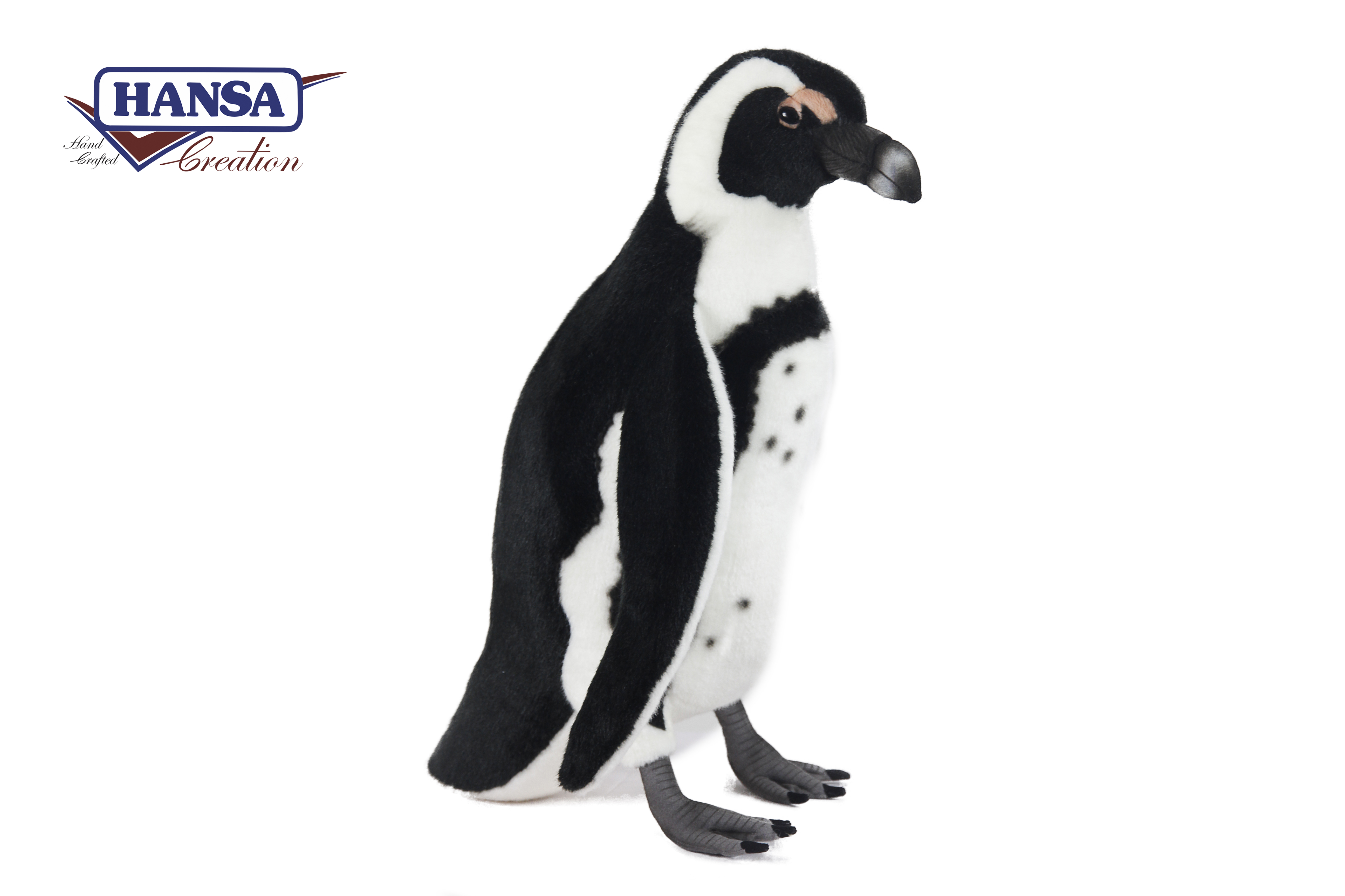 6978 Black Footed Penguin 50 cm.H