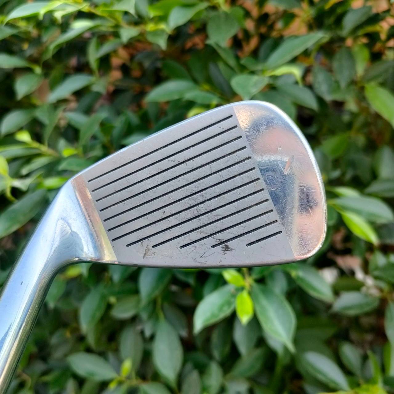 เหล็ก 7 SPALDING TOP FLITE FORGED CAVITY ก้าน TOP FLITE สุดยอดแห่งคุณภาพเลยครับ