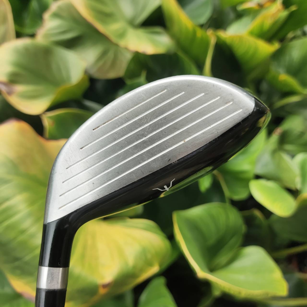 3W MIZUNO RV-03 ก้าน UST MAMIYA หน้าไม้บาง Ball Speed ดี ลูกพุ่ง สปินต่ำ