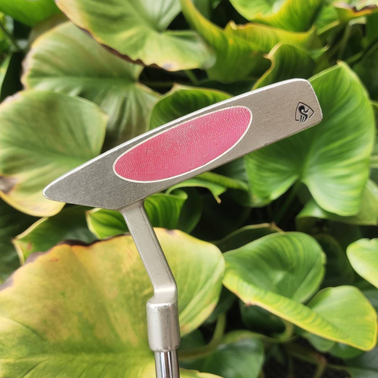 PUTTER TaylorMade Rossa Monaco Sport -1 หน้าไม้ AGSI+ Insert เกาะไลน์ขั้นเทพ