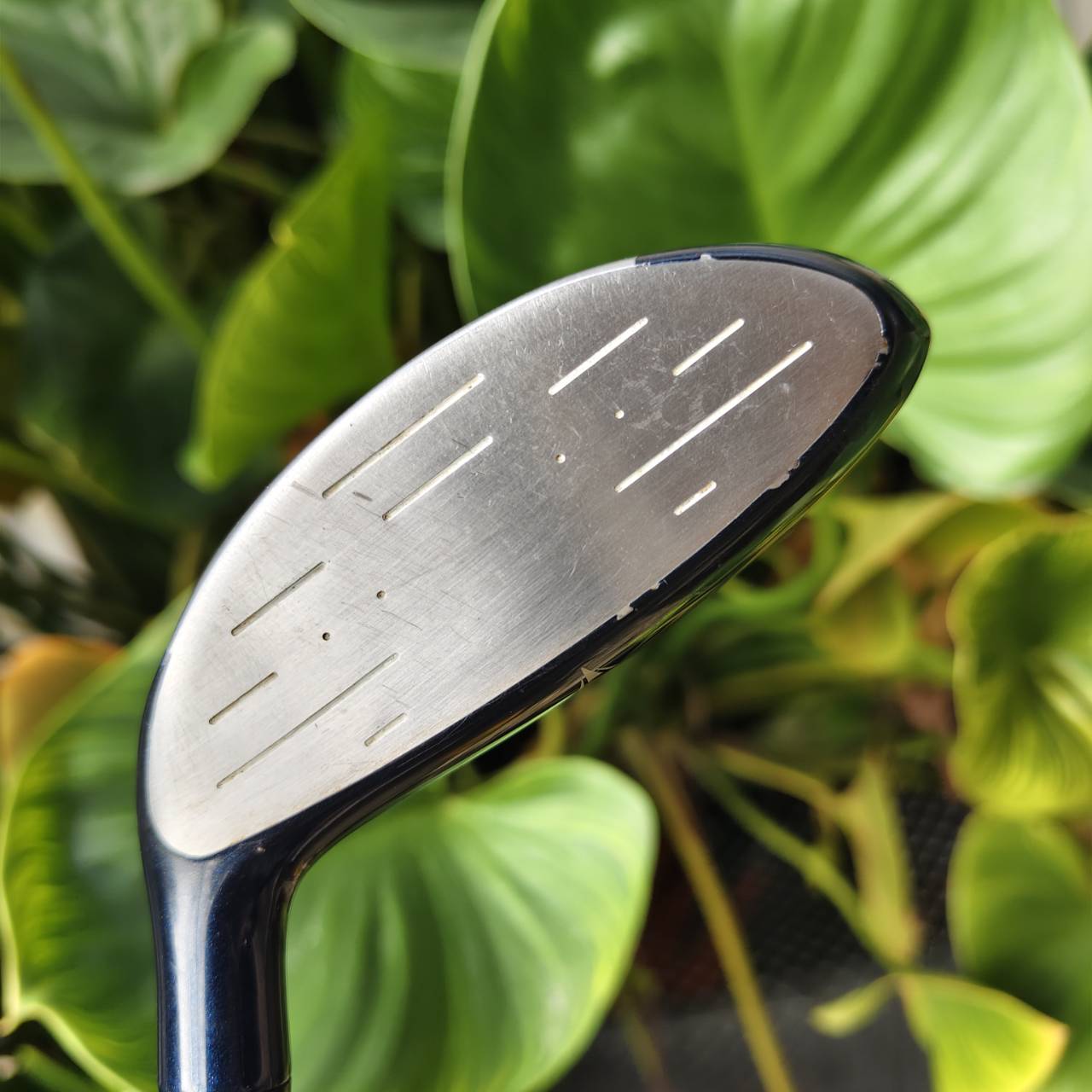 U5 XXIO – องศา 17° “เบา นิ่ม ลอยง่าย และไกลแบบไม่ต้องออกแรงเยอะ” รุ่นขายดีตลอดกาล!