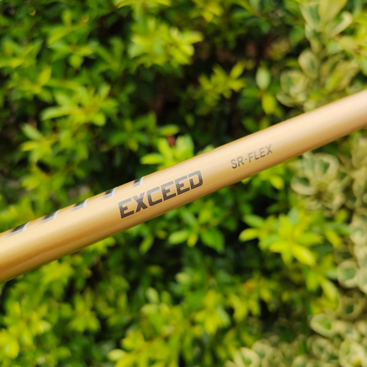 DRIVER YONEX CYBERSTAR NANO V 450D องศา 10 ก้าน EXCEED ED400 FLEX SR