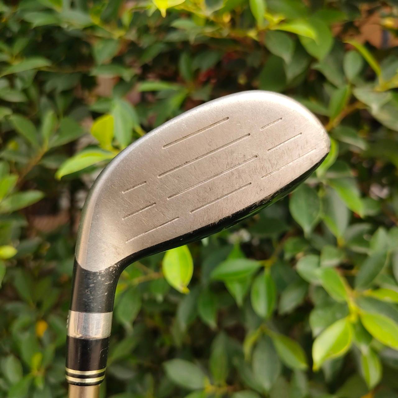 FW9 KING COBRA SPEED LD OFFSET M/ST ก้าน BASSARA ตีตรงแบบสุดๆ มีออฟเซ็ท ก้านสุดพรีเมี่ยม ใช้ตีแทน ระยะเหล็กยาวที่ตียากๆ และง่ายกว่า HYBRID อีกด้วย