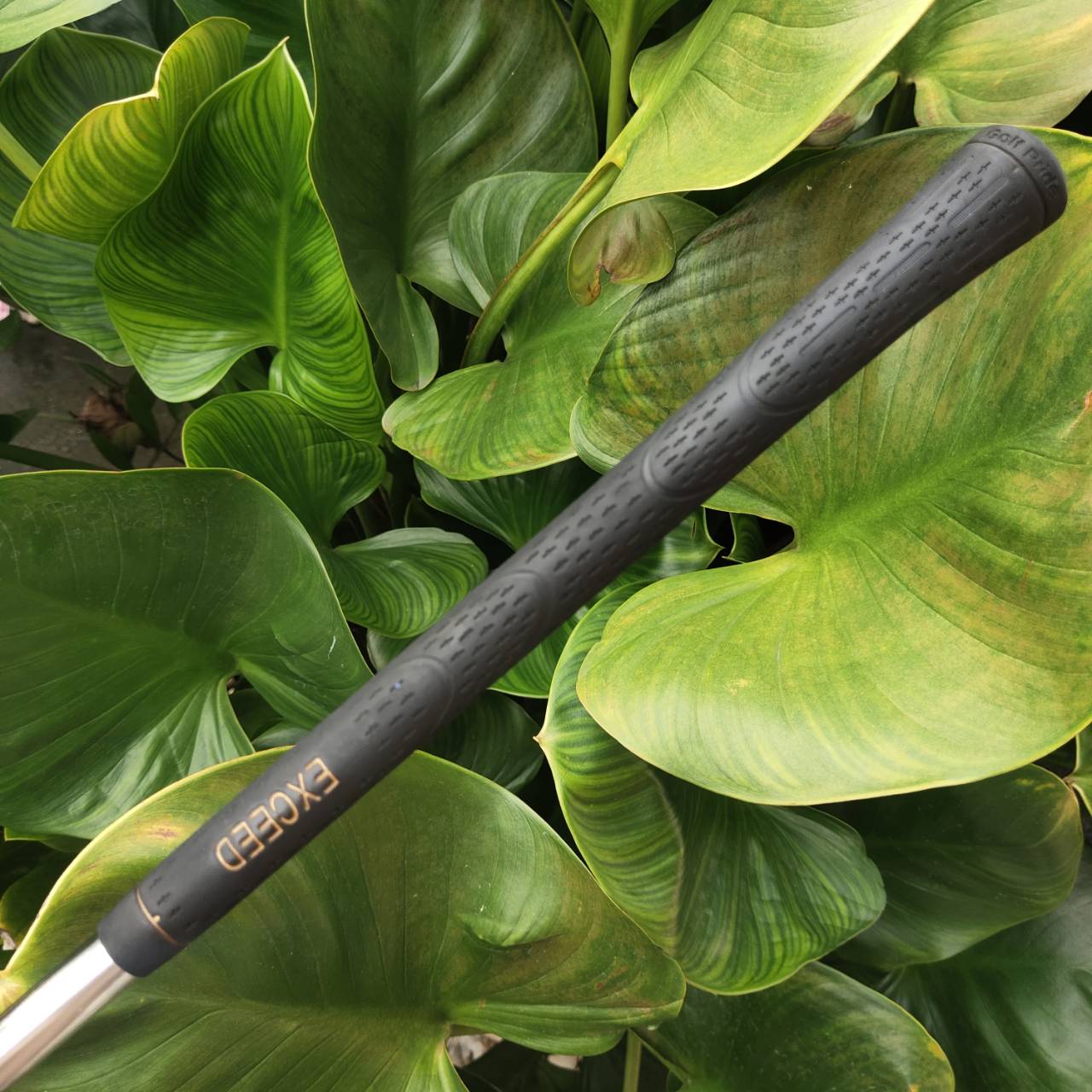 WEDGE EXCEED องศา 58 สีทองหรูหรา หน้าตะไบโหดจัด ตกหยุดถอยหลังแบบสับๆเลยค่ะ