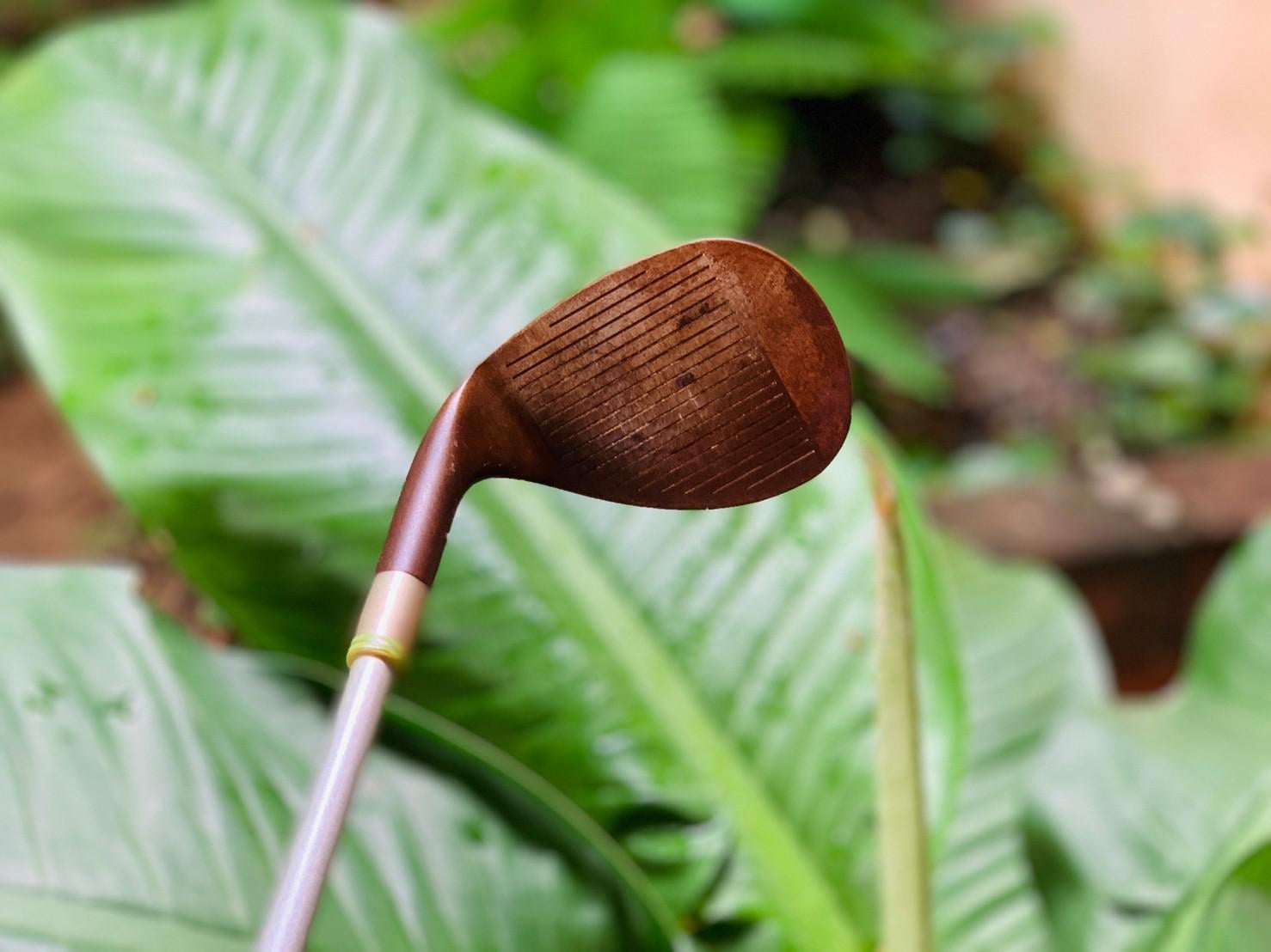 WEDGE 60 COBRA BIG TRUSTY RUSTR ***สำหรับผู้หญิง**