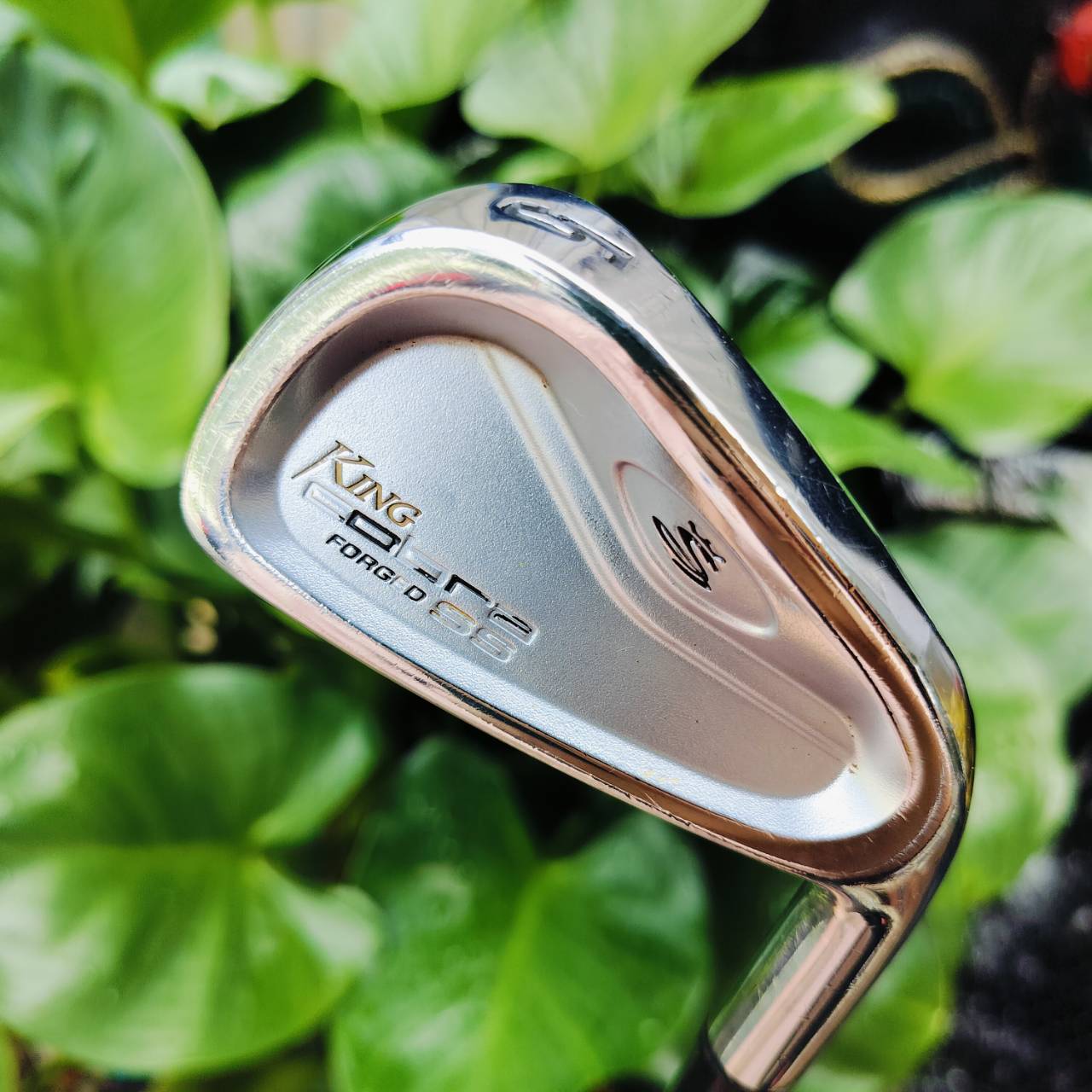 เหล็ก 5 KING COBRA FORGED SS ก้าน DYNAMIC GOLD S300 แม่นยำเป้าหมาย ใบ FORGED พรีเมี่ยม ให้ความนุ่มนวล หนักแน่น ฟีลลิ่งสุดพิเศษ ไม้กอล์ฟมือสอง ของแท้ By NakaraLuxurious