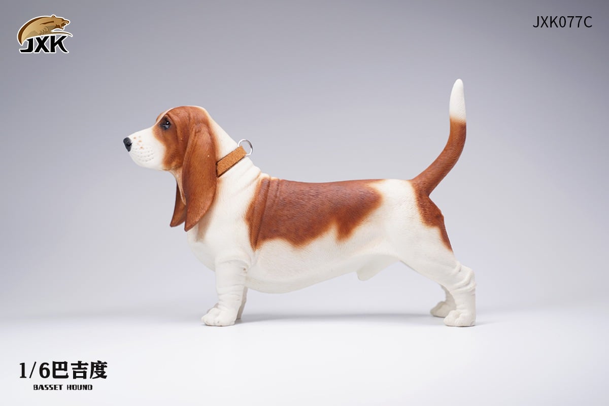 [สั่งจอง]JXK JXK077 1/6 : Basset Hound