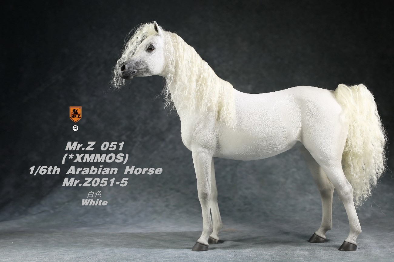 [สั่งจอง]Mr.Z MRZ051 1/6 animal model : Arabian Horse