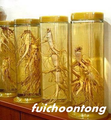 โสมคน (โสมยินเซียม)