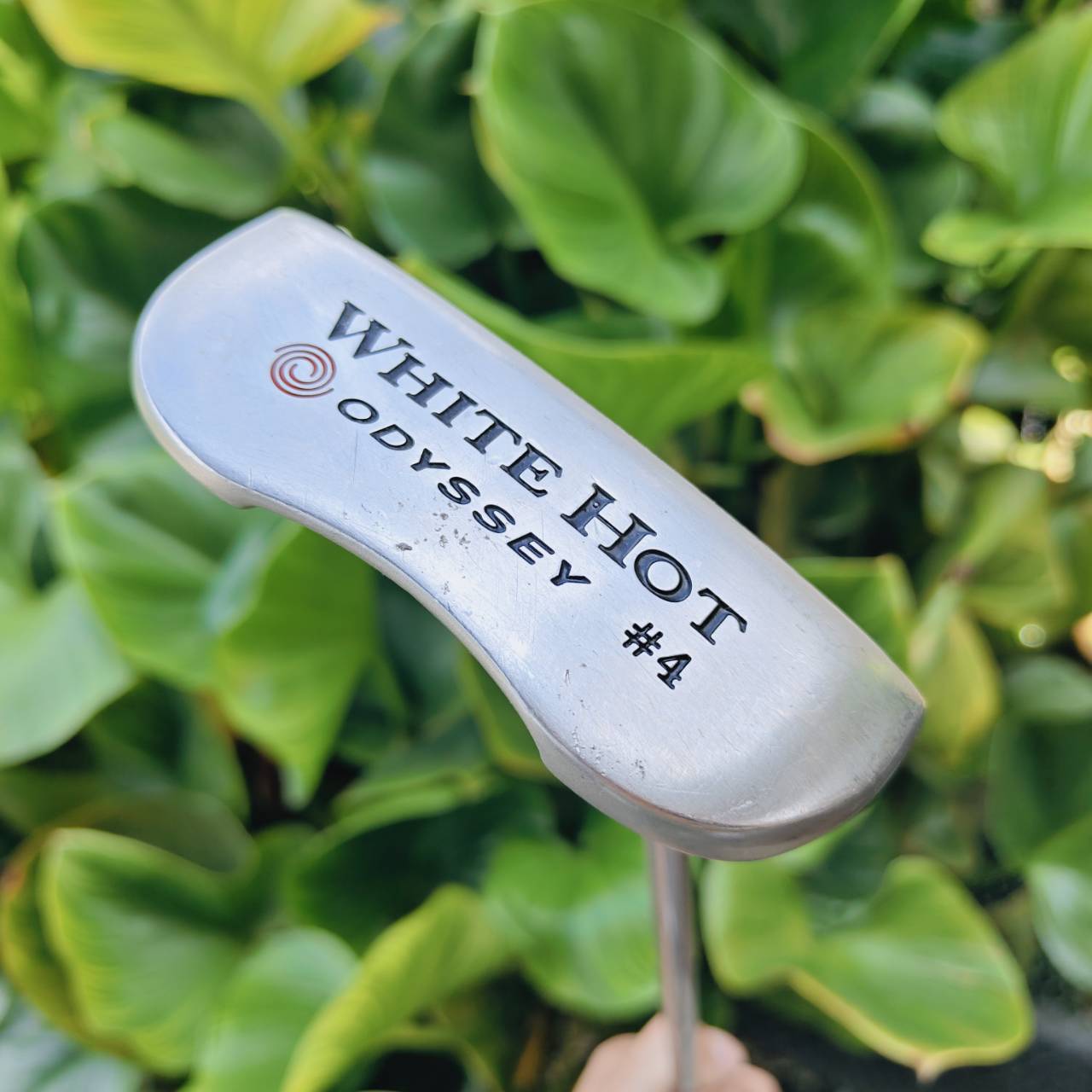 Putter Odyssey White Hot #4 (Mallete Style) — ช่วยให้จัดแนวง่าย ลดการสะบัดของมือ