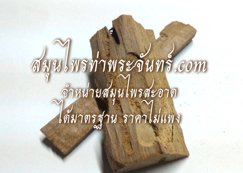 กำลังช้างสารแห้ง ( 500กรัม - 1กิโล ) / ( 500g - 1kg ) สมุนไพรท่าพระจันทร์