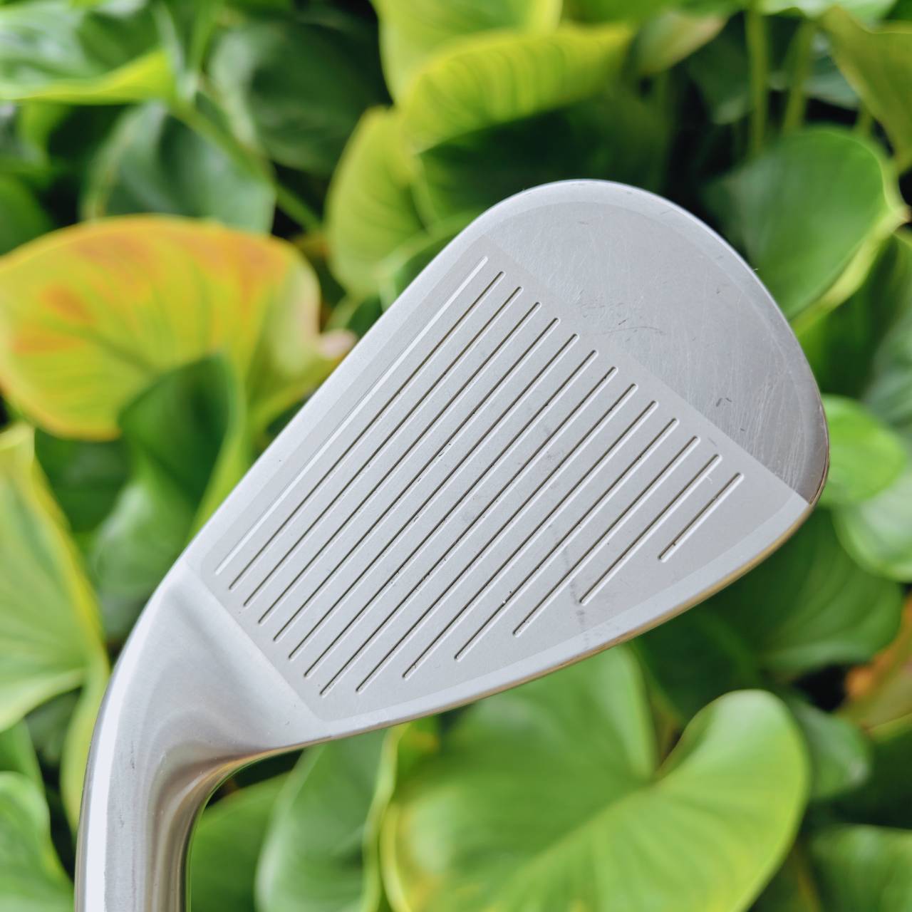 ชุดเหล็ก XXIO ELEVEN หน้าเหล็ก Super-TIX® 51AF Titanium → ให้แรงดีดสูงสุด!