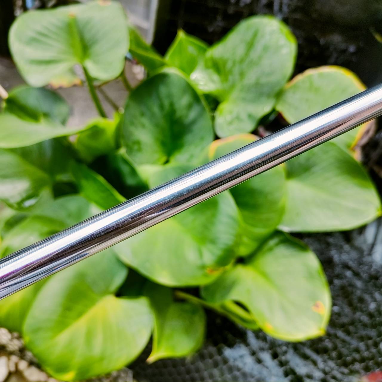 WEDGE TOUR CAVITY องศา 51 วัสดุ FORGED พรีเมี่ยม หน้าใบสวยมาก ออกแบบ BOUNCE ได้สวย ตีสอดดี สปินแบบจัดๆฟี่ลลิ่งนุ่มนวล ไม้กอล์ฟพรีเมี่ยมมือสอง ของแท้ By NakaraLuxurious