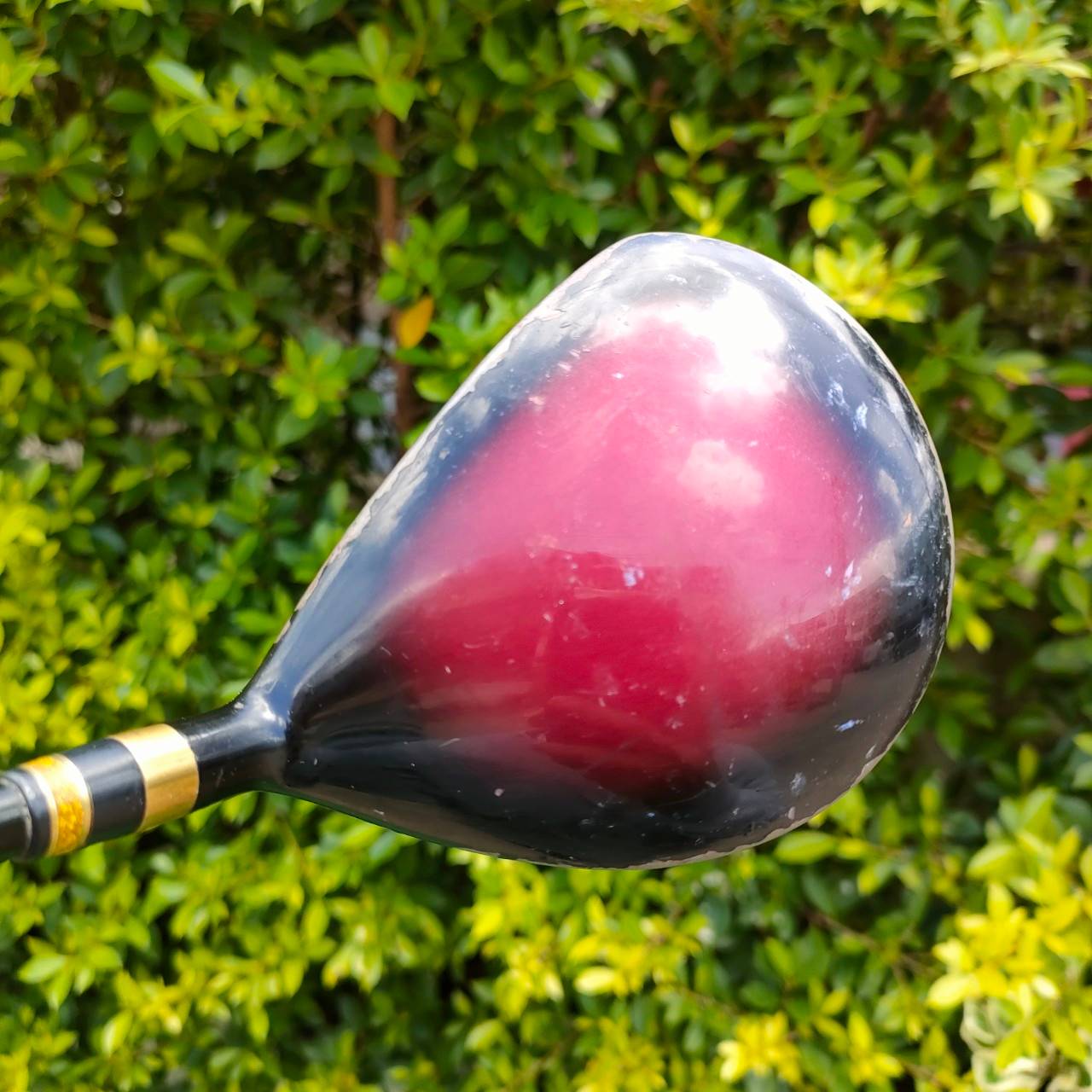 ** ไม้กอล์ฟสำหรับผู้หญิง ** FW3 HONMA MUTSUMI MH488F องศา 17 ก้าน MUTSUMI HONMA FLEX L เป็นวัสดุพรีเมี่ยมSTEEL หัวสีทอง *** มีรอยถลอกเยอะหน่อย แต่เช็คทั้งหมด ไม่เข้าเนื้อ ไม่แตกไม่บุ *** ไม้กอล์ฟมือสอง ของแท้ BY NakaraLuxurious