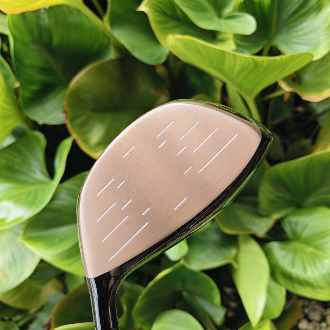 Driver ผู้หญิง SWORD SNIPER WOOD LADY ต้นตำหรับหน้าเด้ง พรีเมี่ยมญี่ปุ่น ตีเบาๆก็ไกลมาก