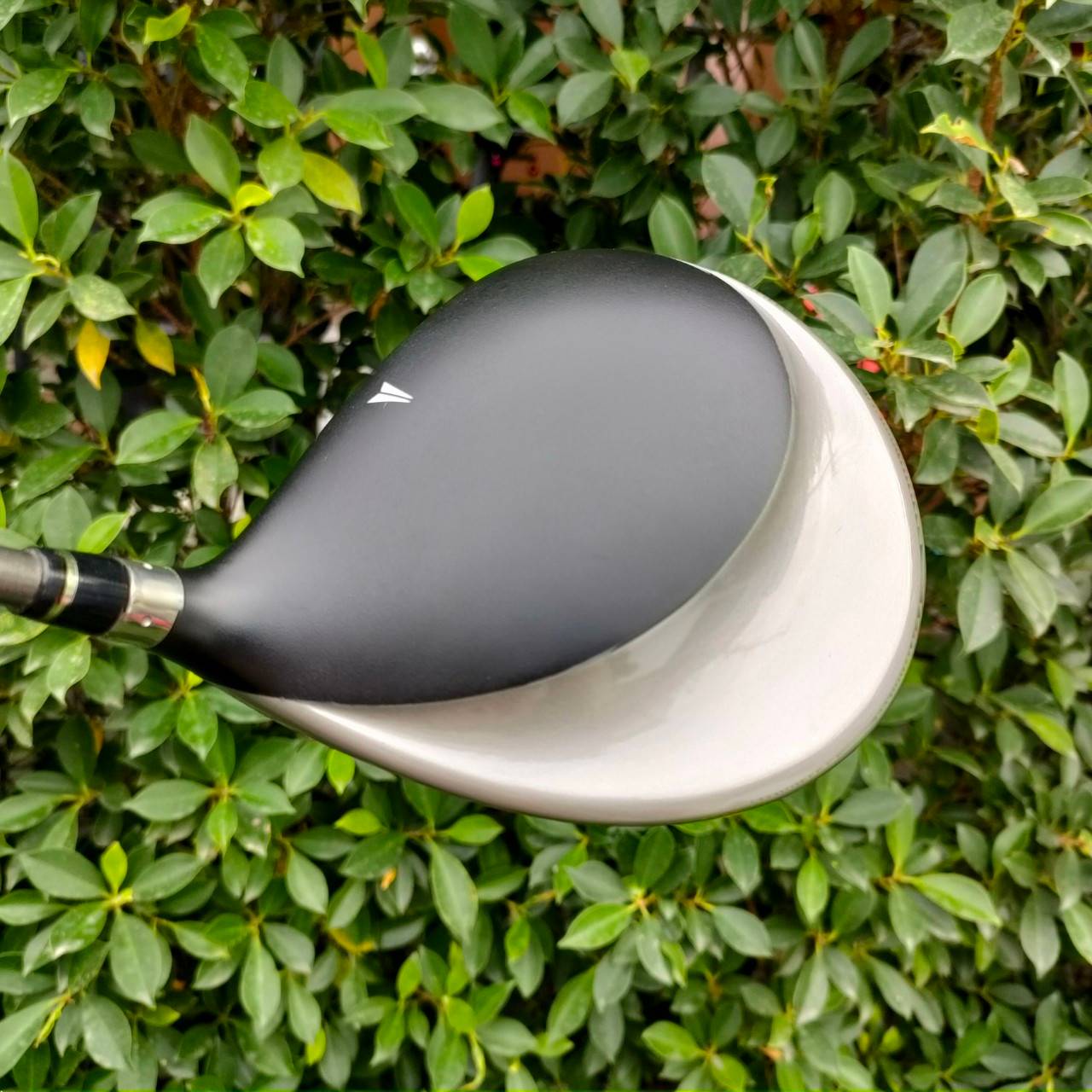 DRIVER NIKE SQ SUMO 5000 องศา 9.5 ก้าน DIAMANA FLEX S