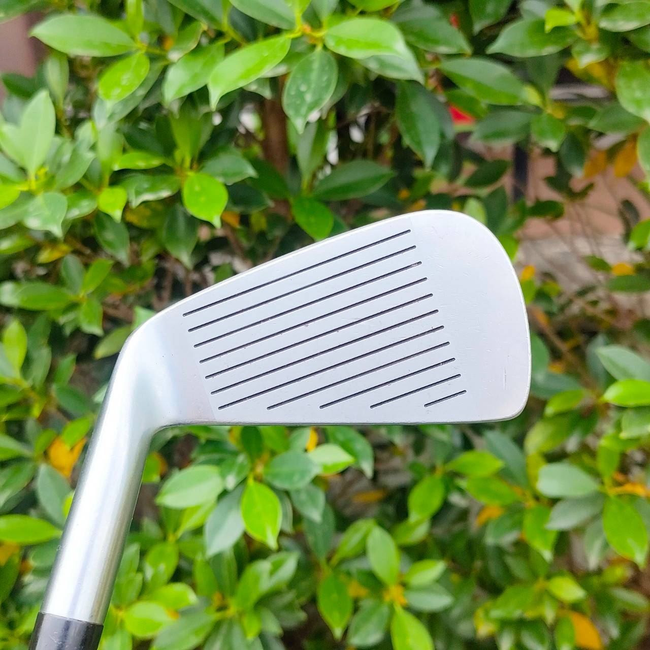 ชุดเหล็ก HONMA LB-717 CAVITY TOUR มีเหล็ก 3 - 11 โมก้าน BASSARA FLEX S ก้านเด็ดมากๆ เฉพาะเซ็ทก้าน ราคาหมื่นกว่าบาท สุดยอดพรีเมี่ยม