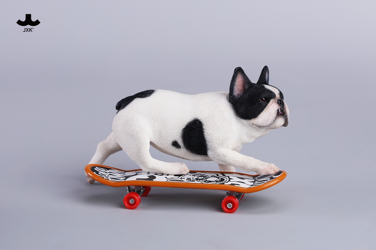 [สั่งจอง] JXK 1/6 : Skateboarding French Bulldog