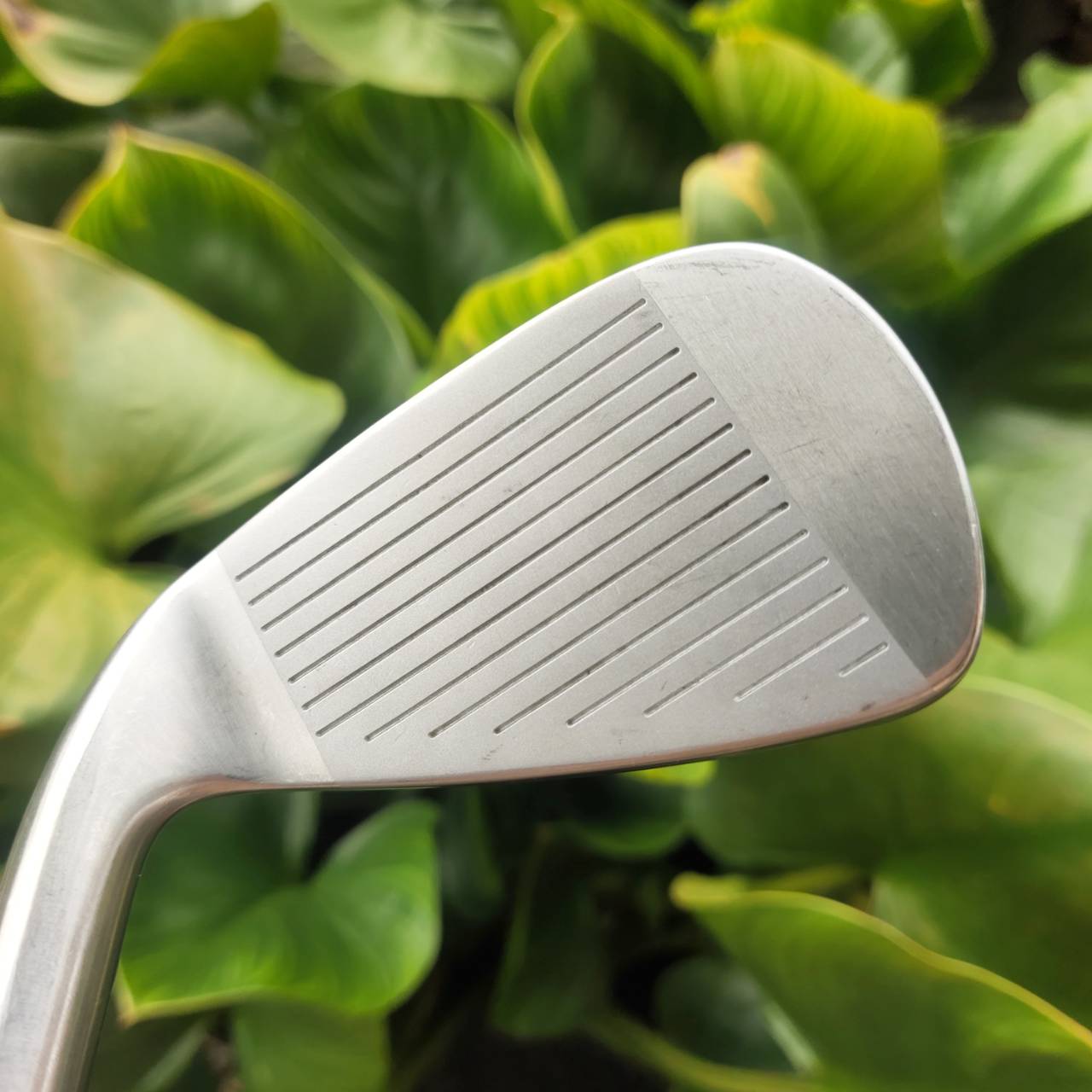 IRON 4 MARVELOUS FLEX R วัสดุ: SUS 431 (martensitic stainless steel)