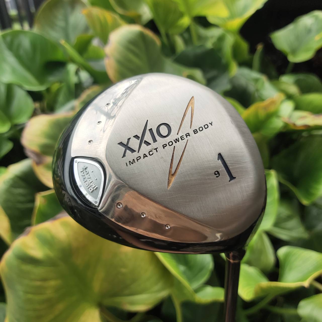 Driver XXIO 3 หัวไม้ TITANIUM หน้าเด้ง COR สูง ให้ Ball Speed ดีมาก