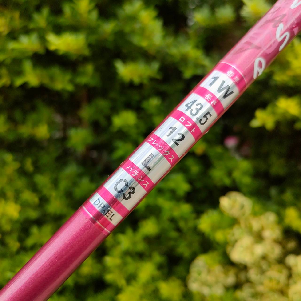 *ไม้กอล์ฟสำหรับผู้หญิง* DRIVER KASCO DIMPALS EL องศา 12 ก้าน DIMPALS FLEX L ** มาพร้อม COVER ตรงรุ่น ** สุดยอด Driver พรีเมี่ยมญี่ปุ่น!! ไม้กอล์ฟมือสอง ของแท้ BY NakaraLuxurious