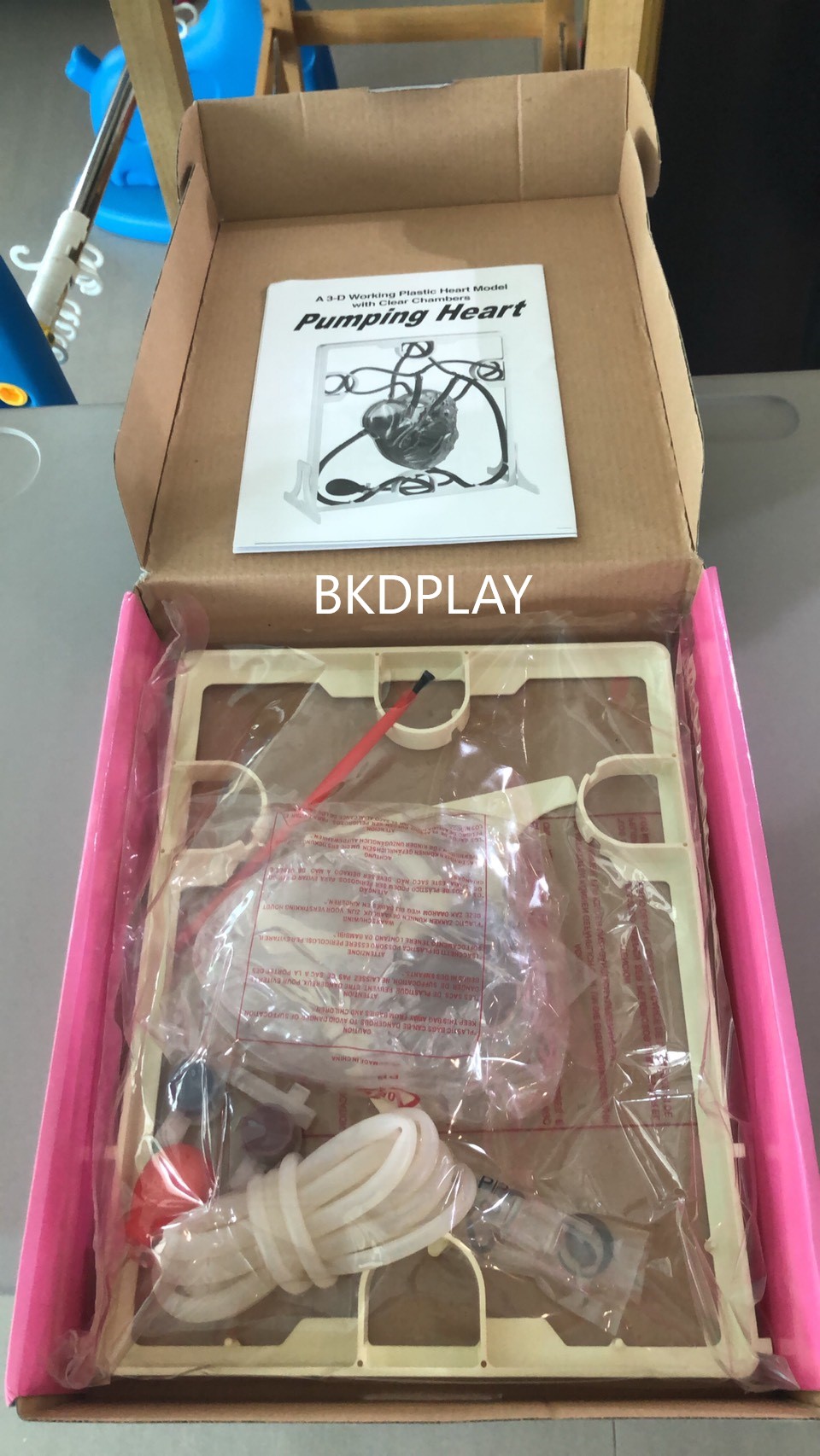 โมเดลหัวใจ จำลอง ระบบหัวใจ, Pumping Heart , ของเล่นเสริมพัฒนาการ, ของเล่น, สื่อการสอน