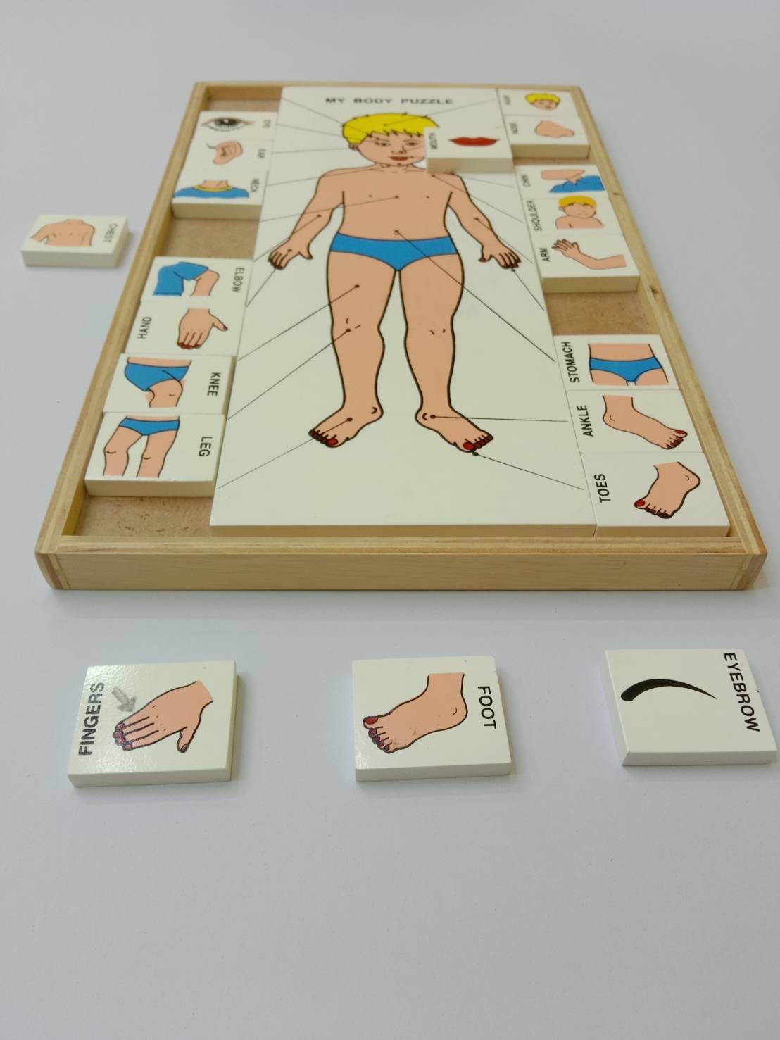 จับคู่ร่างกายของฉัน (ภาษาไทย) , ของเล่นไม้, ของเล่นเสริมพัฒนาการ, ของเล่นเด็ก, สื่อการสอนเด็ก