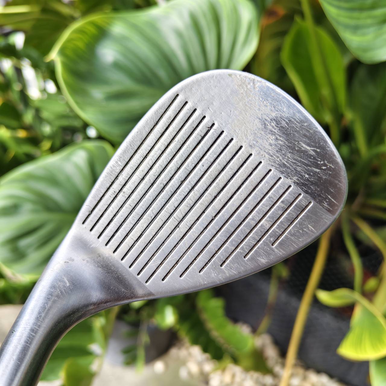 WEDGE CLEVELAND CG14 ลายพราง! – ZIP GROOVES ร่องเป็นสี่เหลี่ยมเหมือนซิปเลย สปินดุ คุมสั้นแม่นสุดๆ