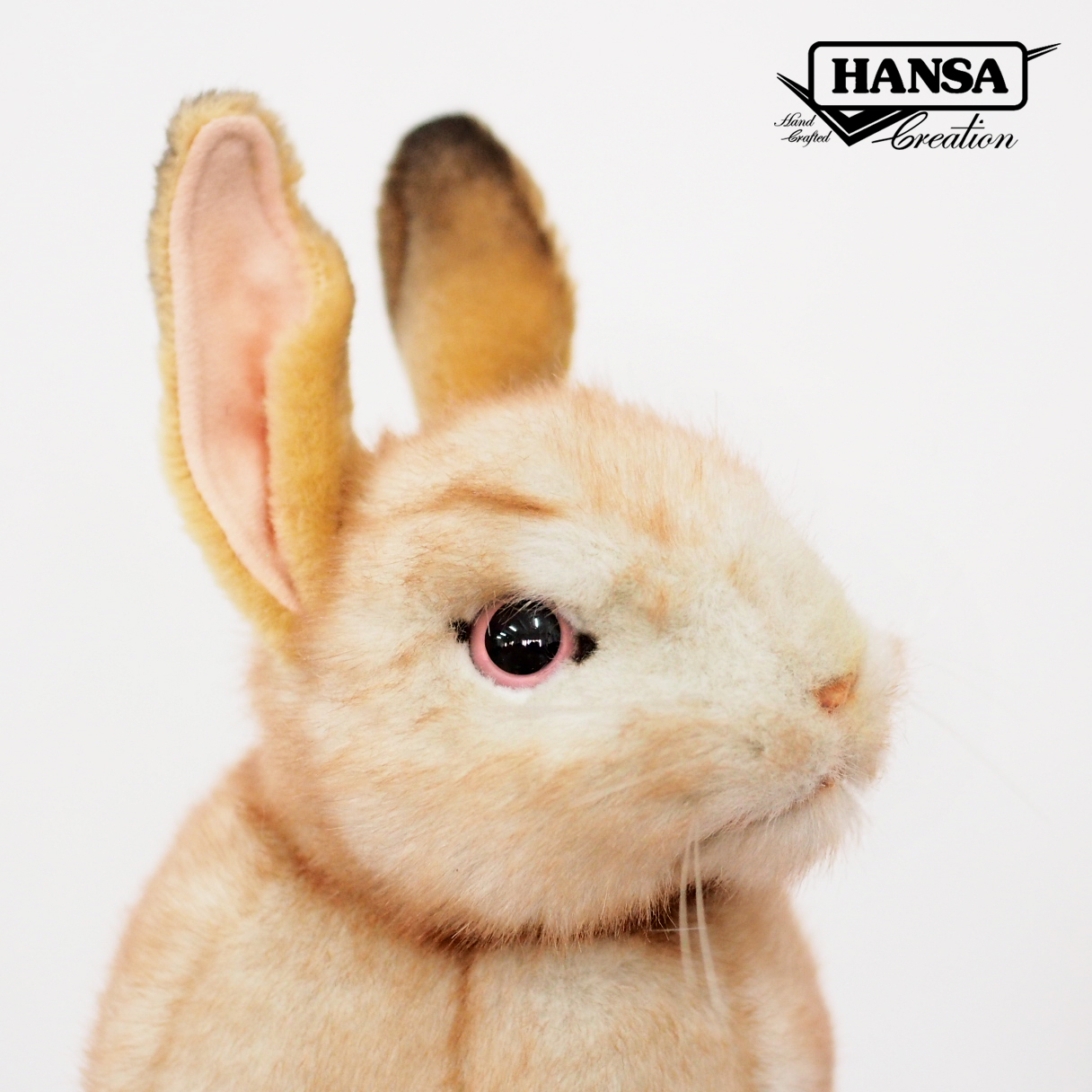 7797 Bunny (Cream) 35 cm.L