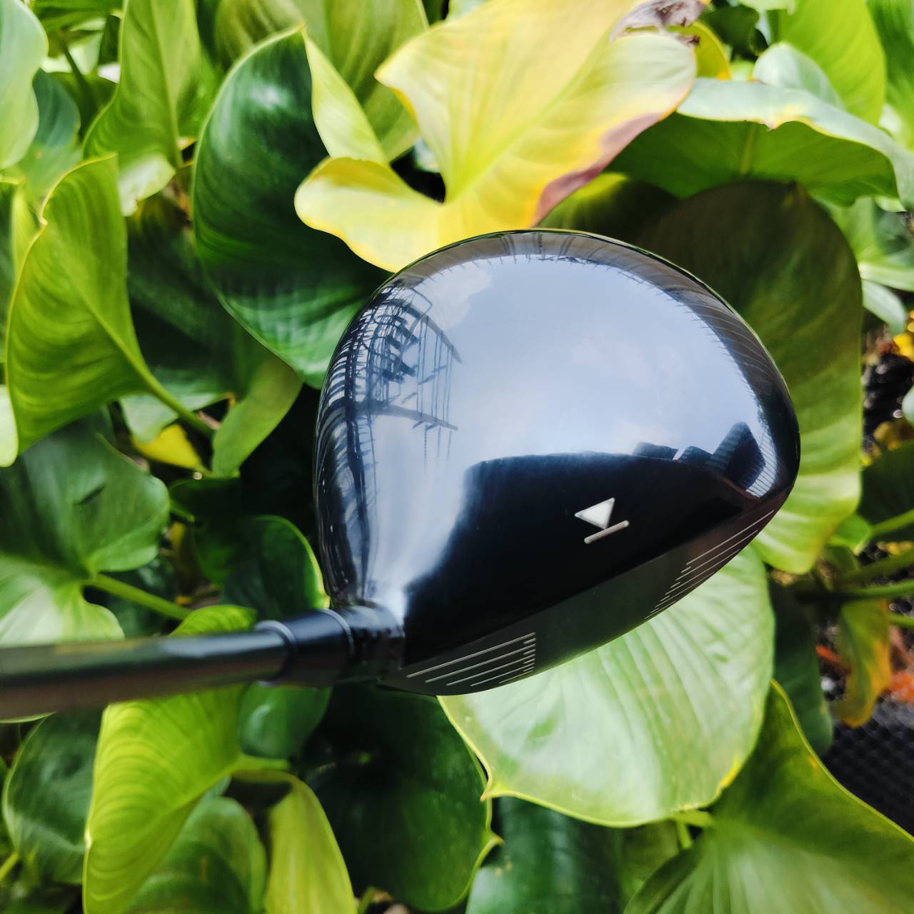 *** ไม้กอล์ฟมือซ้าย *** DRIVER TITLEIST 910 D2 องศา 10.5 ก้าน FUJIKURA MOTOREF3 FLEX R มือซ้ายหายาก D2 ตีดีมากๆๆ ไม้กอล์ฟพรีเมี่ยมมือสอง ของแท้ By NakaraLuxurious